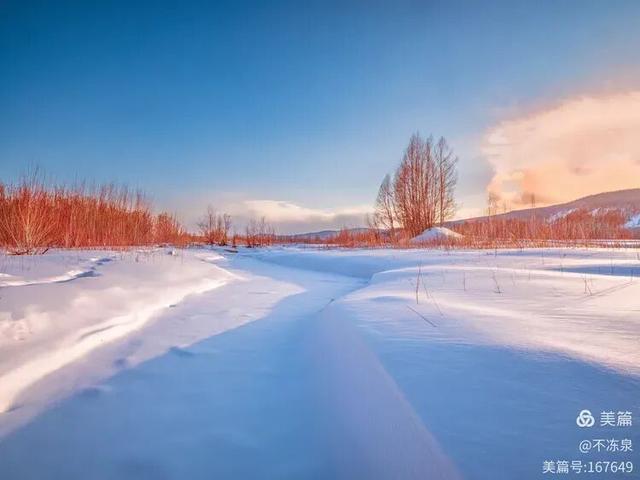 冷极秘境——2025年呼中的冬雪魅景