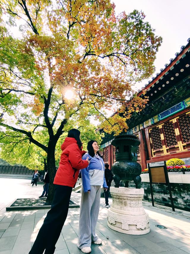 北京深秋上演色彩大片