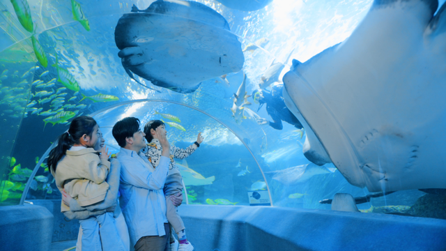 【跨年游奥帆 马年交好运】来奥帆跨年！欢乐持续不停歇！超多玩法唤醒你的新年“多巴胺”～