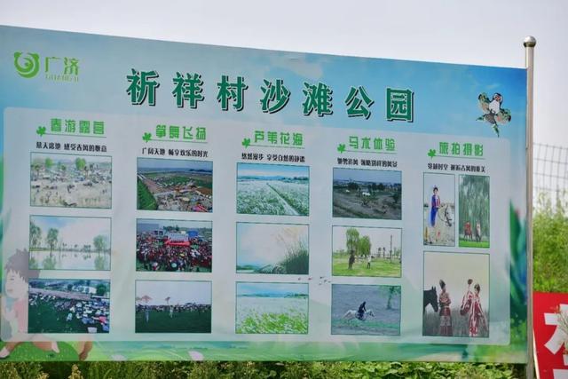 超级出片！绵竹这片芦苇荡，拉满秋日氛围感......