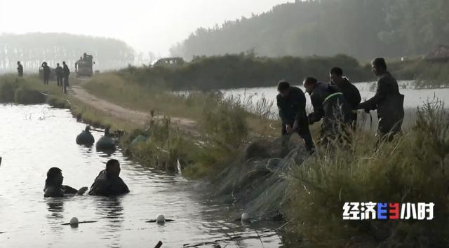 河南：大河之南 绿润中原