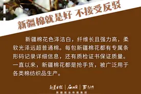 更“新”这一年丨一组海报速览这些新疆爆款好物图片