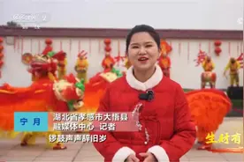 两上央视霸屏2小时！湖北大悟火爆出圈图片