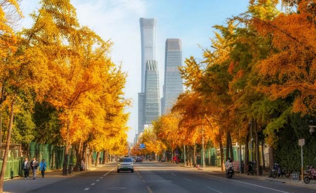 今年，朝阳有“加长版”秋日心动