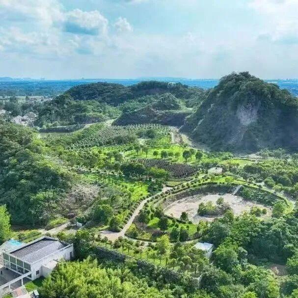 官宣！2026年南京43个景区免费开放日！