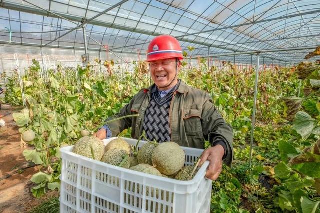 小编带你一站式打卡淄川N个宝藏采摘地！