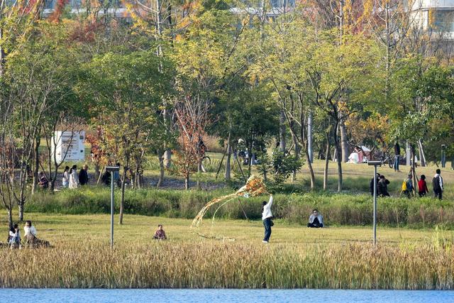 暖阳伴鸥舞 东安湖畔享周末好时光