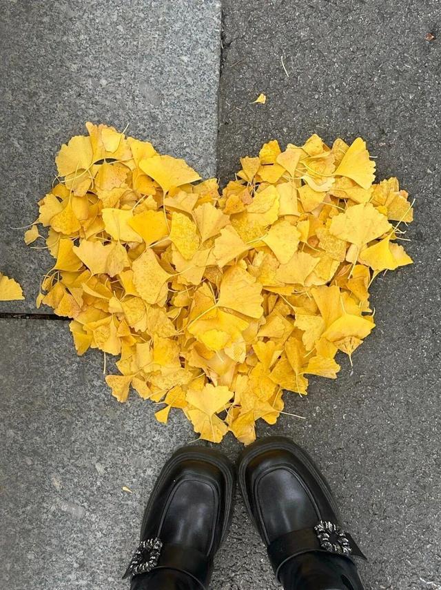 绝美！走，打卡去！