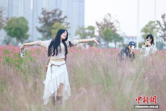 江西南昌：城市花海正盛放 绚丽多姿引客来