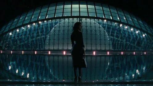 法律可以私人定制吗：当大数据和算法成为每个人的“法官”