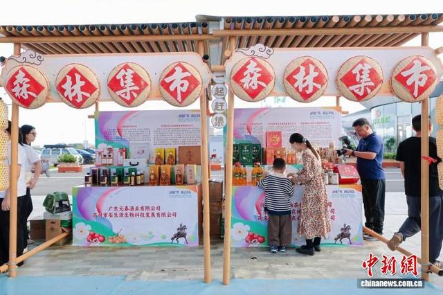 首批绿美茂名生态游线路发布 推动绿色共享