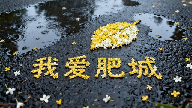 美翻了！肥城落叶成诗！经典景区热门打卡地！秋画！～