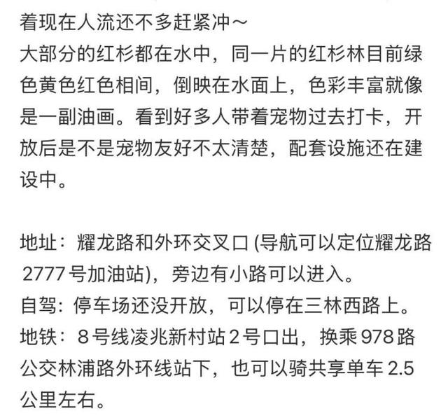 三林水森林未开先火，网络疯转“潜入攻略”！记者探访：确有不少游客；建设方：今年内完工，请静待开放