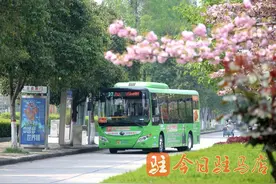 “一角钱乘公交”优惠活动来了图片