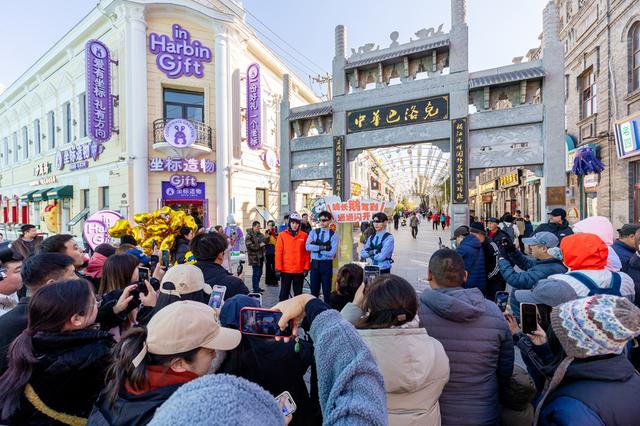 全城偶遇！哈尔滨被“淘学企鹅”小分队占领啦！