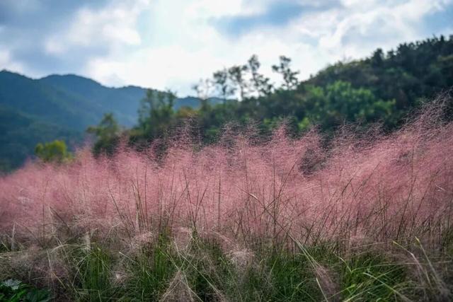 热门消息-济南的秋天，是懂“配色”的！(4)