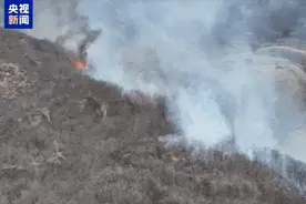 山火连发，原因公布！多地拉响红色预警图片
