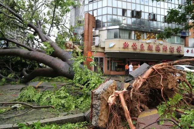 珠海台风预警再升级！狂风大暴雨要来！所有滨海景区、公园将关闭