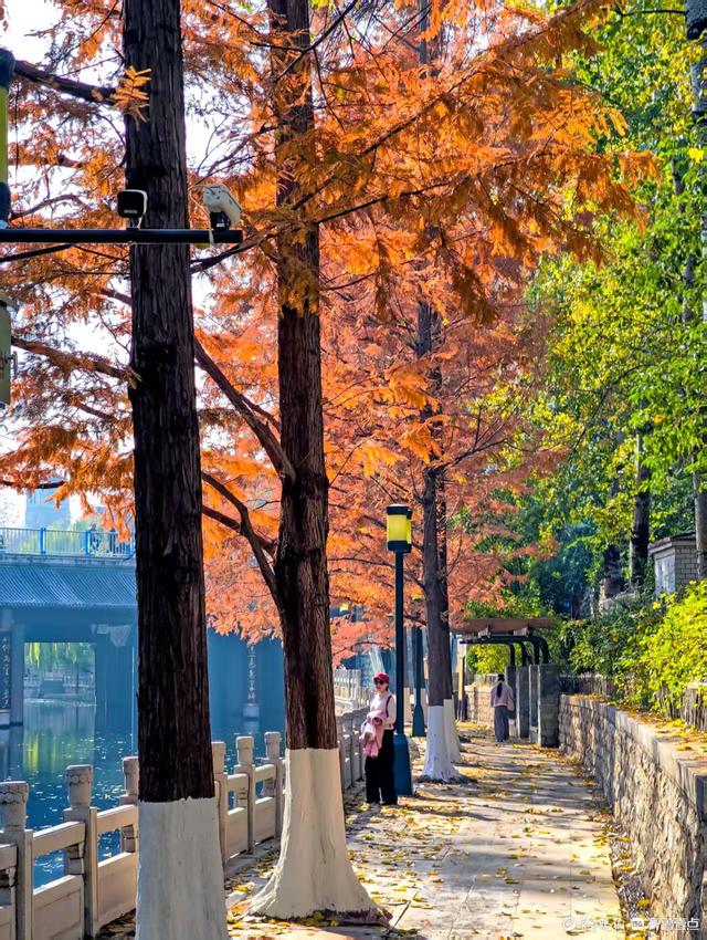 济南青龙桥护城河畔，美景随手拈来