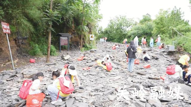 关岭化石群国家地质公园迎来暑期旅游热潮