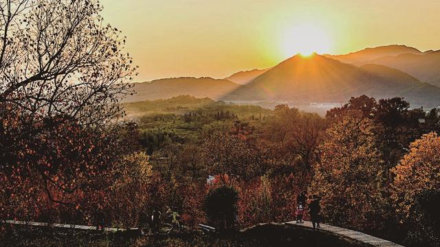 宿来拍丨捕捉秋阳