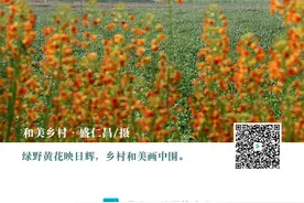 定了！2025年社工考试报名即将开始！图片