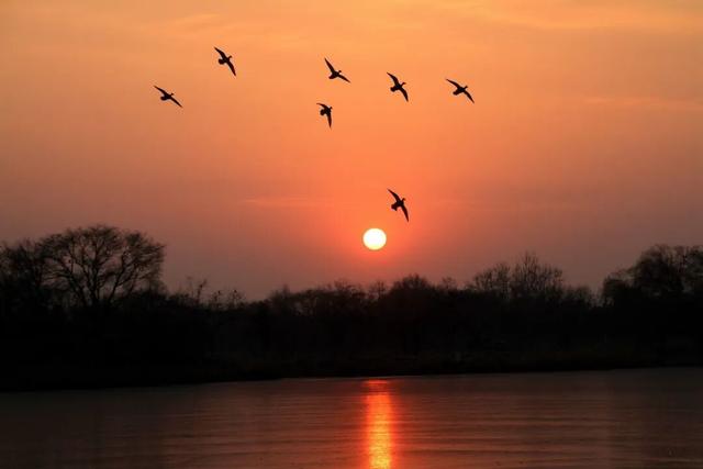 圆明园初冬的静谧