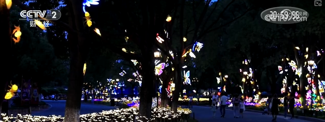 花样“夜”态燃动夏日夜游消费热力 玩法“上新”撬动“八小时外”经济新支点