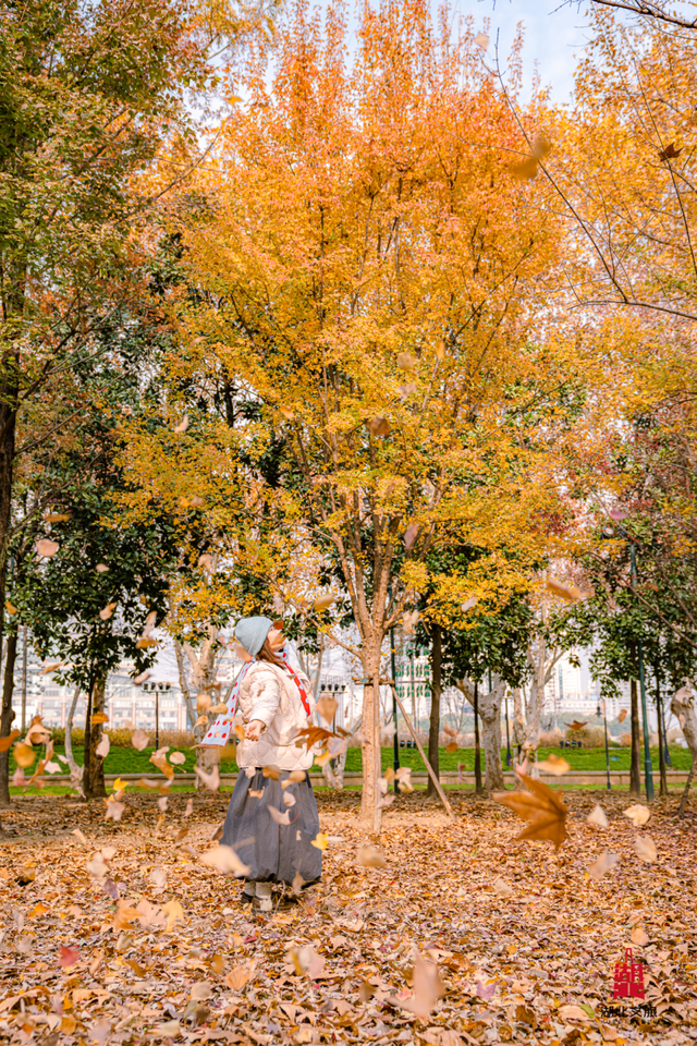 寒潮倒计时！再不来就迟了