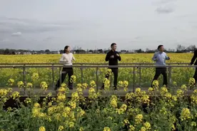 为油菜花代言，乡镇书记跳“李羲承进行曲”这不叫尬|新京报快评图片