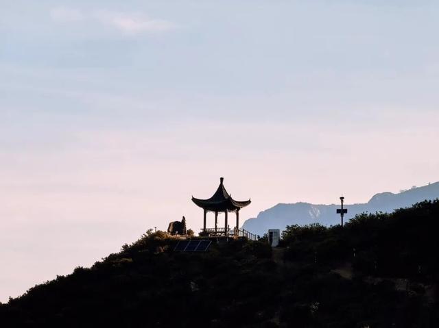 听，呼和浩特的秋天在喊你煮茶喝咖了