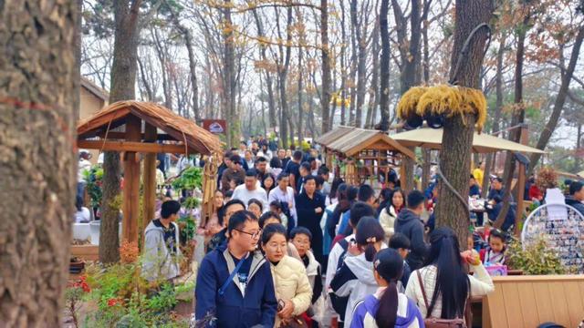 千车万人争打卡，沂蒙山龟蒙景区涌现初冬旅游热潮