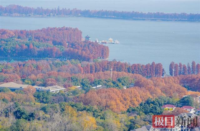 暖阳催彩叶，世界东湖初冬盛景已上线