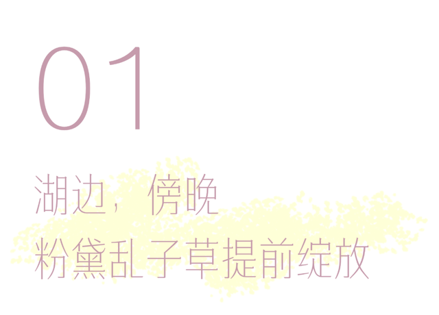中山，粉了！免费免预约打卡→