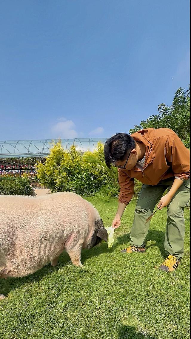 全猪宴吃起来！湘潭自驾这么玩