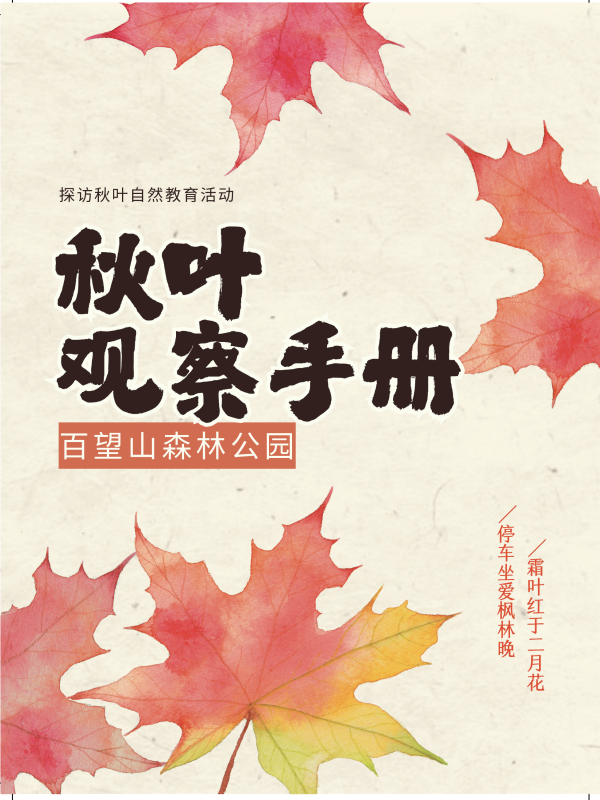 五彩斑斓！北京“漫山红叶”进最佳观赏期!