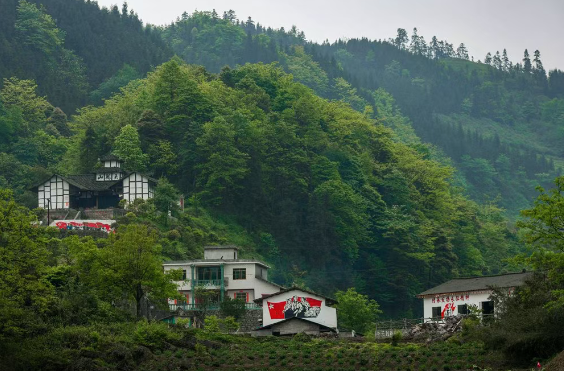 秋假好去处！带孩子重温红军川南游击纵队的红色岁月