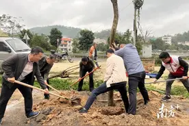党建引领植新绿，信宜北界掀起乡村绿化新热潮图片