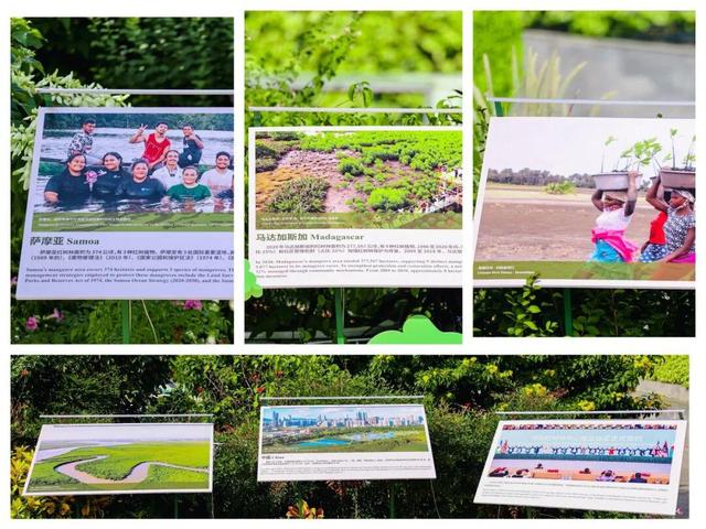 今夜共赴这场生态盛宴！Let's Join This Ecological Celebration Tonight