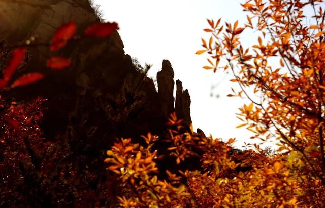 接下来的日照，是这样的！