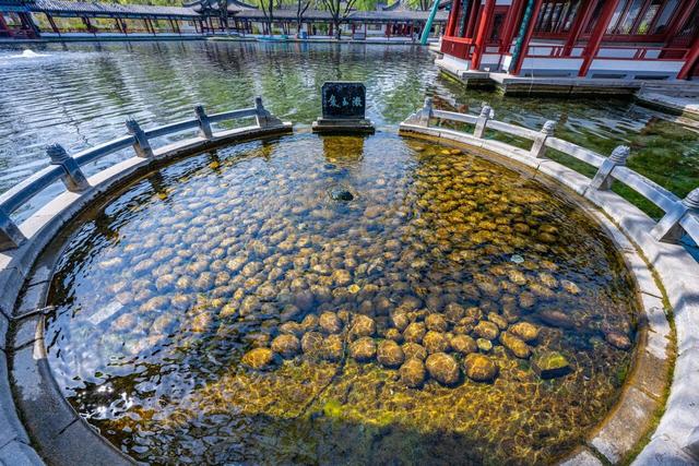 月牙泉“醒”了！济南泉水进入高光时刻！