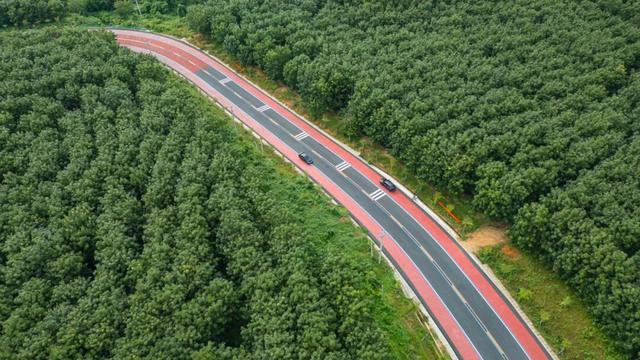 图观白沙 | 跟着赛事游白沙——白沙：自驾雨林公路，解锁国庆“森”呼吸