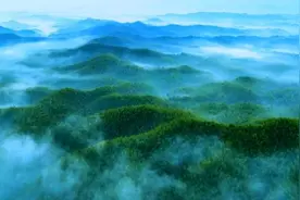“趣”桃江 过“竹”瘾图片