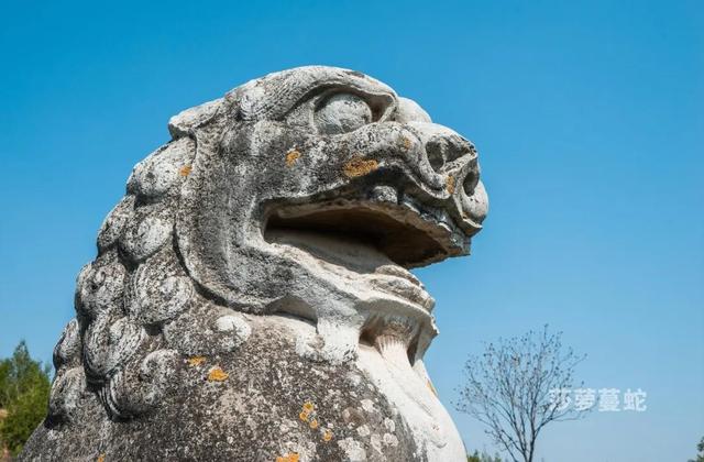 唐陵西线丨乾县-礼泉 乾崇靖建昭陵（唐代露天石雕艺术博物馆）（9/30-10/4）