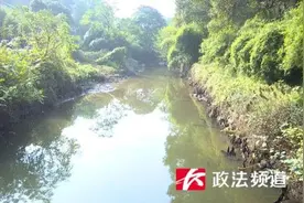 长沙一母亲跳水救子不幸溺亡，家属：她不会游泳，救子心切图片