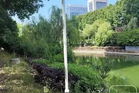 追踪丨合肥中山路桥附近塘西河河段岸边已安装监控图片