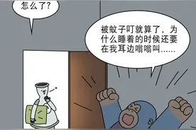 蚊子嗡嗡叫竟然是在做这种事？图片