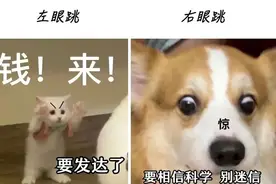 眼皮跳，这1个预兆是真的图片