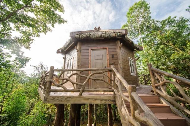 免费大放送，100间熊猫家园主题民宿酒店房间来袭