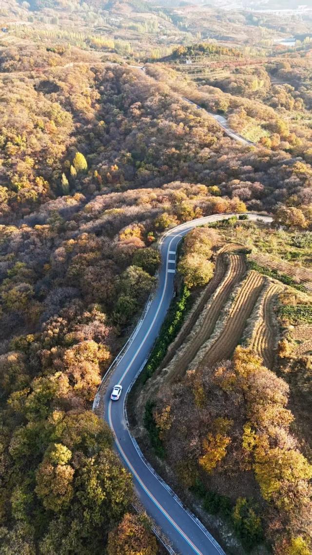 璀璨斑斓！日照这条路，现在美到不像话！